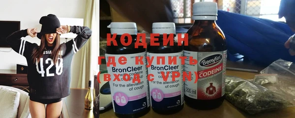 индика Костерёво