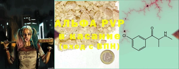прущая мука Корсаков