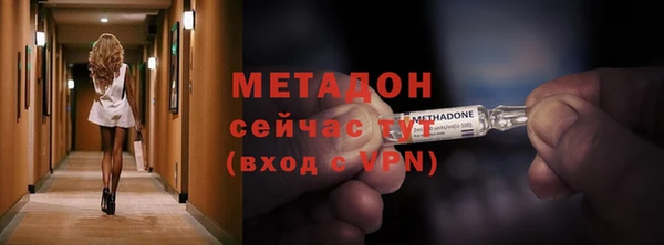 индика Костерёво