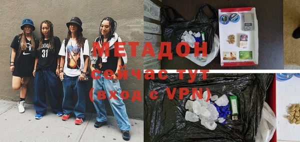 индика Костерёво