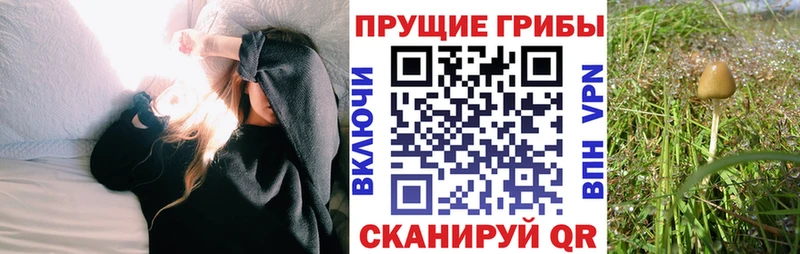 Псилоцибиновые грибы прущие грибы  Купить  Ишимбай 