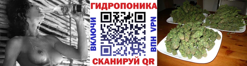 Марихуана план  Купить закладки  Ишимбай 
